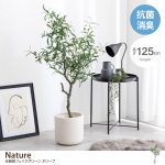 【新商品】お家の中でも「自然」を感じる暮らしの画像