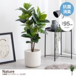 【新商品】お家の中でも「自然」を感じる暮らしの画像