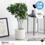 【新商品】お家の中でも「自然」を感じる暮らしの画像